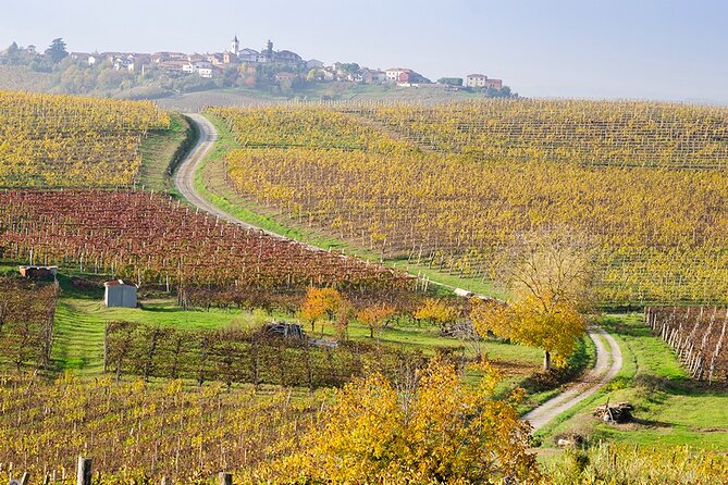Private Vespa Tour "Among the hills of Barolo and Barbaresco" - FAQ