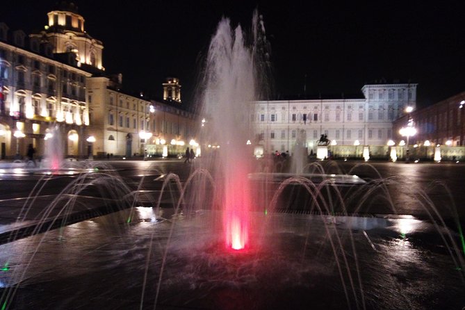 Reggia di Venaria and Stupinigi Hunting Palace - Key things that make this tour worth your time