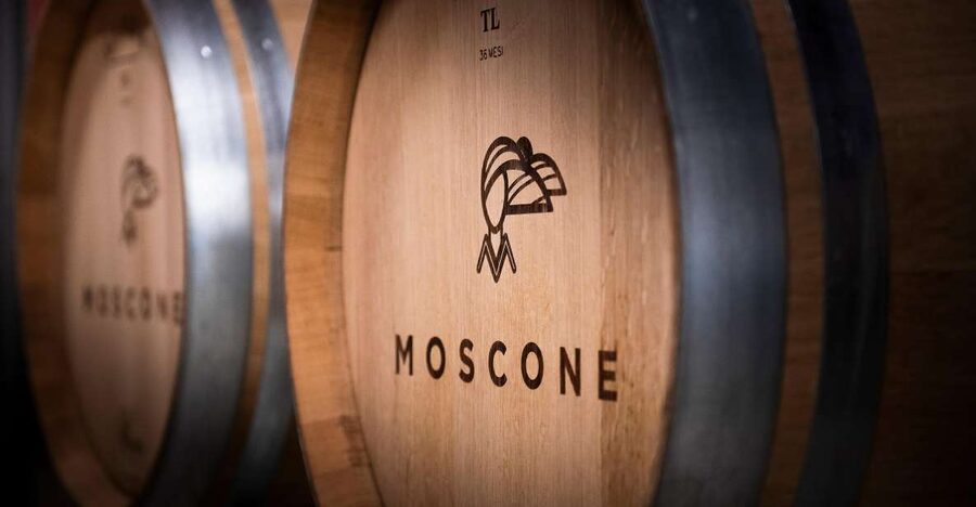 The Dosman: Winetasting in La Morra - Key highlights you’ll notice right away