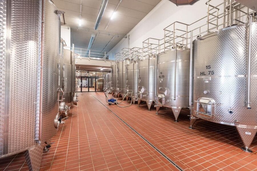 The Dosman: Winetasting in La Morra - Cellar visit and Cantina Moscone story: tasting with a backbone