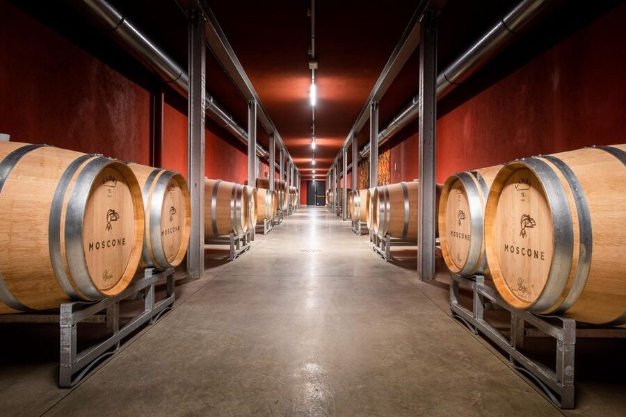 The Madama: Wine tasting in La Morra - Production techniques, shown instead of just talked about