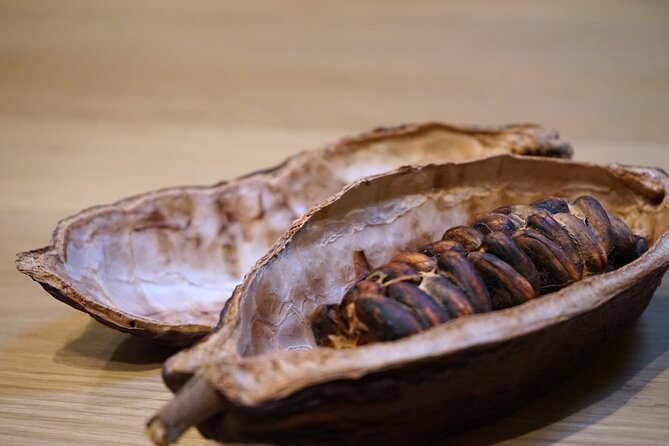 The Turin Chocolate Tasting Experience - Bistrot Turin: the tasting that explains why chocolate tastes different
