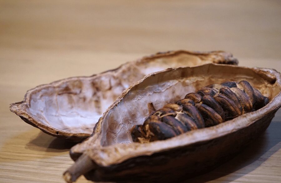 The Turin Chocolate Tasting Experience - Sweet wine with cocoa: Barolo Chinato pairing that isn’t random