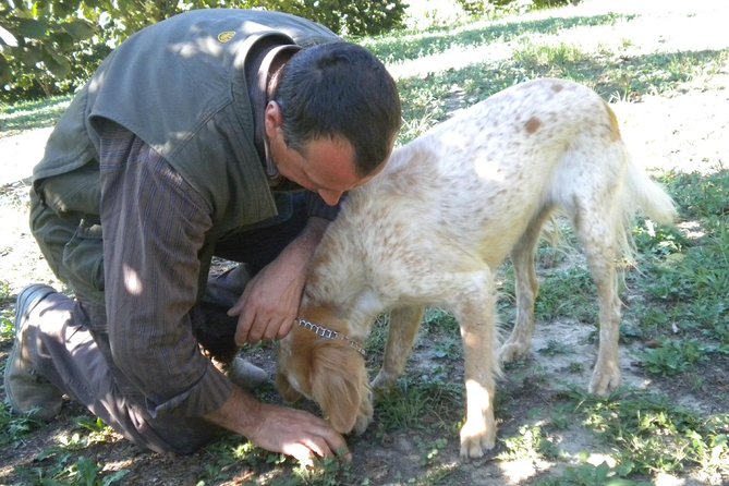 Truffle Hunt & Wine Tasting - Truffle Country: Why Langhe-Roero and Monferrato Works