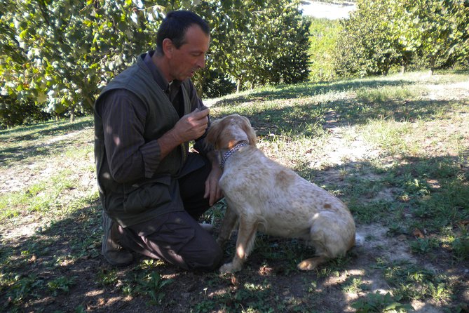 Truffle Hunt & Wine Tasting - The Main Show: Your Trifolao and His Truffle Dog Team