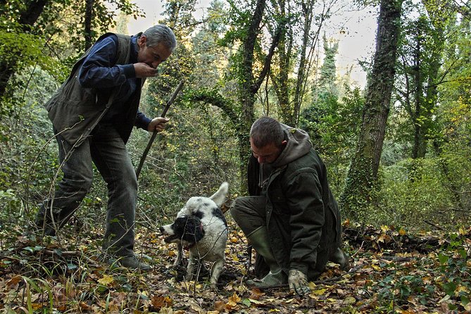 Truffle Hunt & Wine Tasting - The Winery Finish: Barolo/Barbaresco Tasting with Local Bites