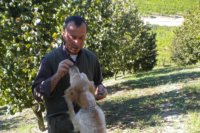 Truffle Hunt & Wine Tasting - Price and Value: Is $165.36 Worth It?