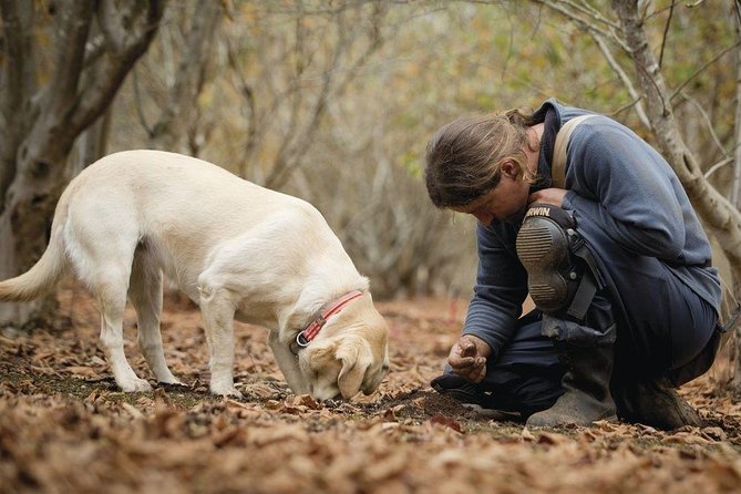 Truffle Hunt & Wine Tasting - Time on Your Feet: Duration, Group Size, and the Flow of the Day