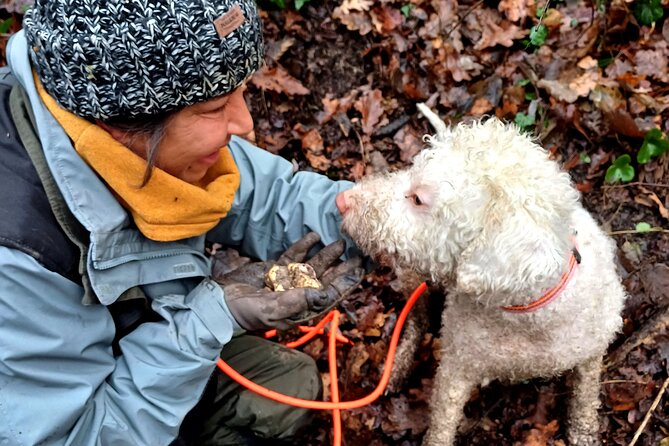 Truffle Hunting and Lunch in Piedmont Trattoria - Why This Truffle Hunt Feels Like the Real Deal