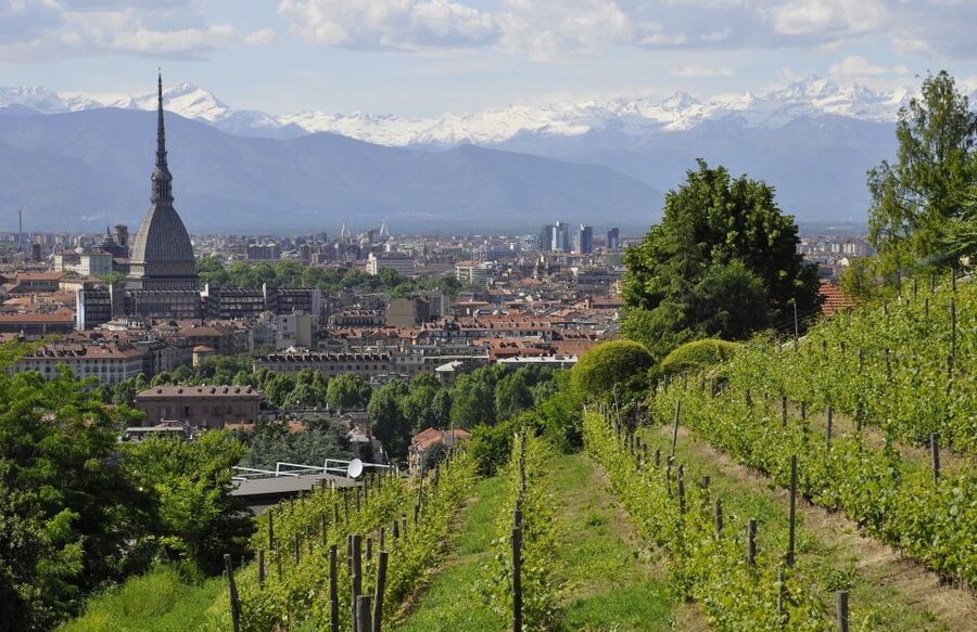 Turin: 2 Hour Guided Walking Tour - Who this tour is best for (and who should skip it)