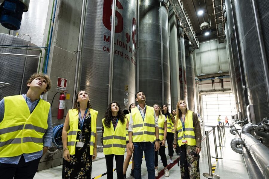 Turin: Casa Martini Tour with Tasting - Price and Value: Why $23 Can Make Sense in Turin