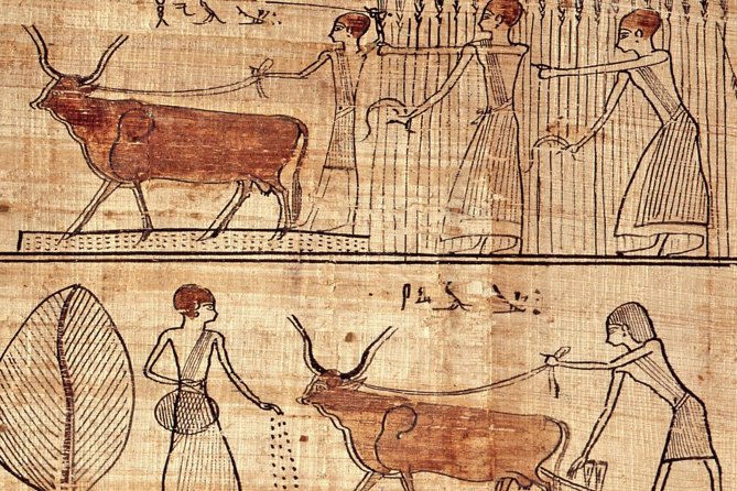 Turin Egyptian Museum Entry Ticket plus Turin Digital Audioguide - Museo Egizio in Turin: a 1824 collection rebuilt for modern visits