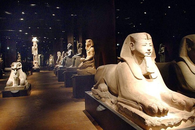 Turin Egyptian Museum Entry Ticket plus Turin Digital Audioguide - Papyrus scrolls and the restoration story you might not expect