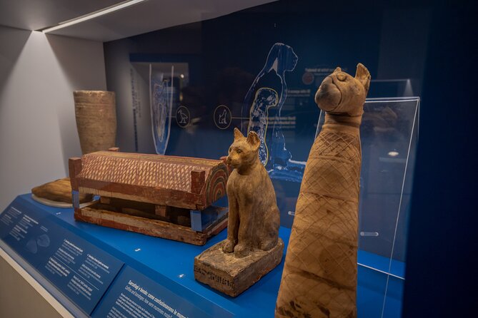 Turin: Egyptian Museum Monolingual Skip-the-Line Guided Mystery Tour,Small group - The Guide Experience: Clear Explanations, Plus a Language Reality Check