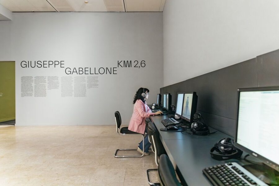 Turin: Gallery of Modern and Contemporary Art Entry Ticket - GAM Entry Ticket: What You’re Actually Paying For