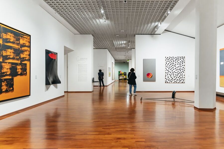 Turin: Gallery of Modern and Contemporary Art Entry Ticket - Rules Inside GAM: Bags, Pets, and Flash Photography