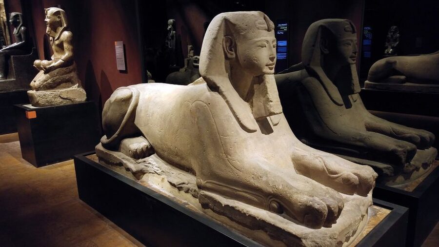 Turin: Guided Egyptian Museum Tour - First stop at Museo Egizio: timing and where to meet