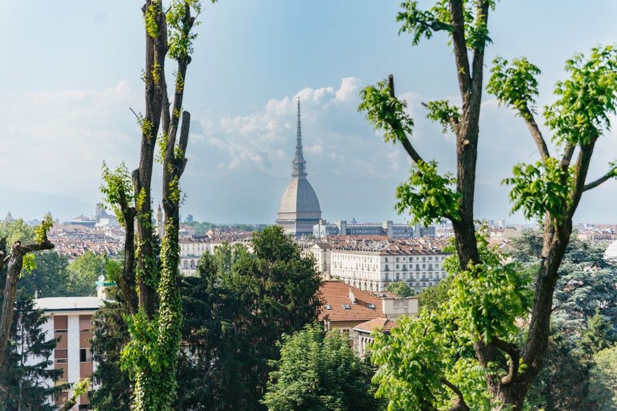 Turin: Hop-on Hop-off Bus Tour with 24 or 48-Hour Ticket - Red Line: Classic Turin From Piazza Castello to the Po-River Views