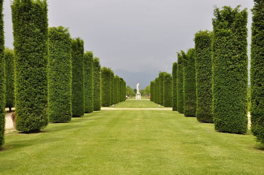 Turin: Palace of Venaria Guided Tour - What you’ll see: the Savoy palace highlights in 3 hours