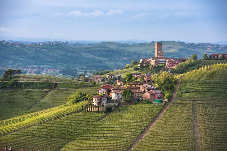 Turin: Private Barolo Wine Region Day Trip with Lunch - Who Should Book This (and Who Might Prefer Something Else)
