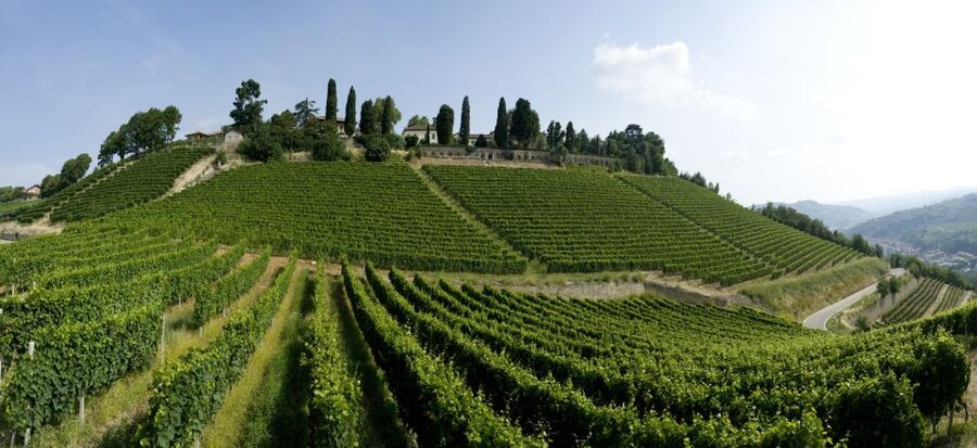 Turin: Private Barolo Wine Region Day Trip with Lunch - Lunch in the Town of Piedmont: Food Pairing That’s Actually the Point