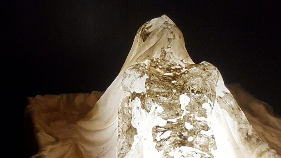 Turin: Private Tour on The Path of The Holy Shroud - Private Guide Quality: Where the Experience Really Improves