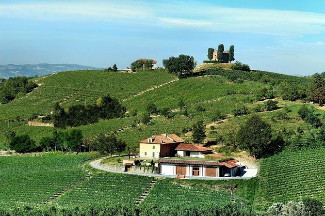 Visit among vineyards and wine cellar with wine tasting in Nizza Monferrato - Wine tasting in the room, plus summer garden glasses with a view