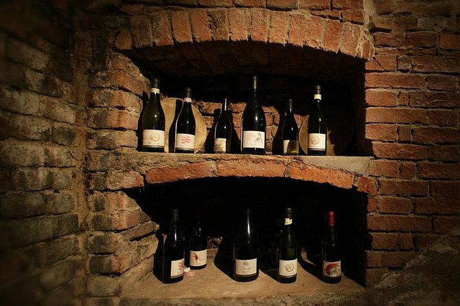 Visit among vineyards and wine cellar with wine tasting in Nizza Monferrato - Price and value for a private 90-minute English visit