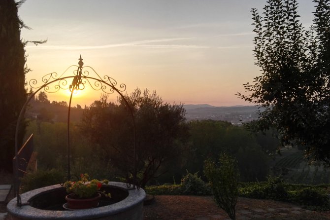 Visit among vineyards and wine cellar with wine tasting in Nizza Monferrato - Cellar time: seeing the work behind the bottle