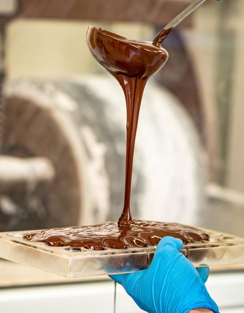 Willy Wonka in Turin - A chocolate adventure - Price and value: what $106.49 buys you in Turin