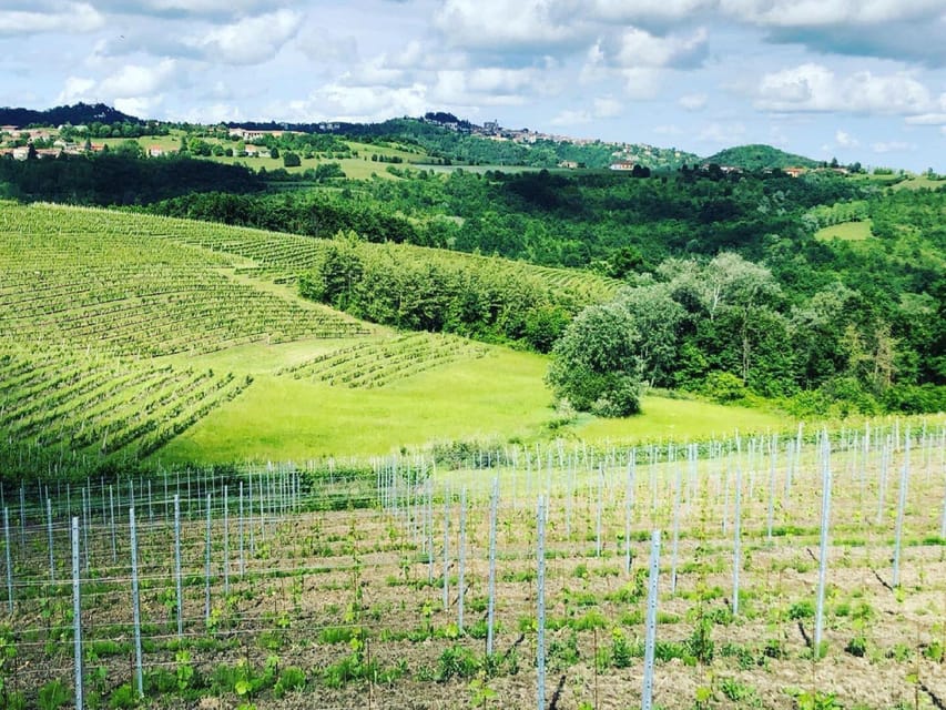 Wine Tasting and Winery Visit near Asti and Turin - Courtyard welcome and the winery tour that actually shows process
