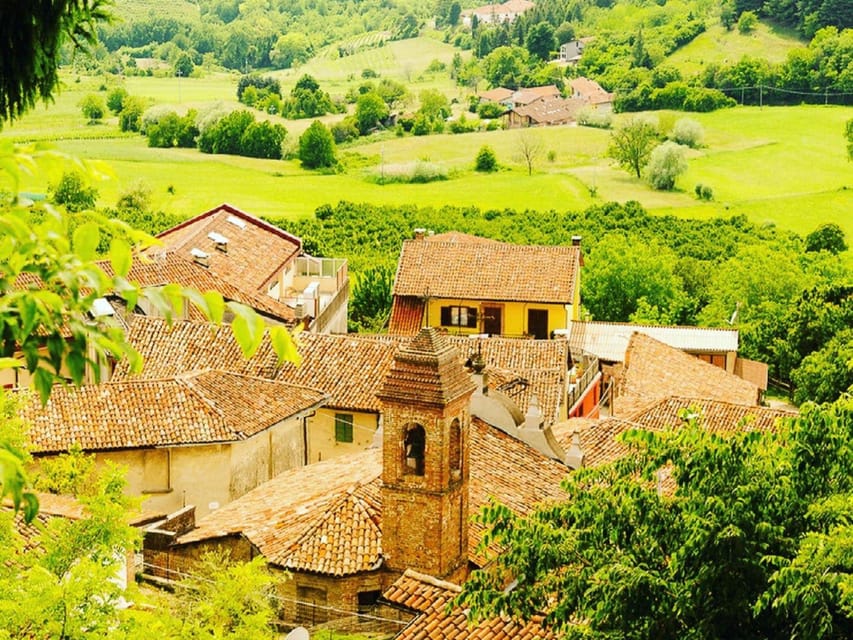 Wine Tasting and Winery Visit near Asti and Turin - Your four-wine tasting flight (with actual food pairings)