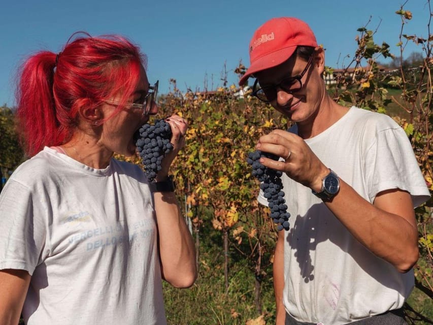 Wine Tasting and Winery Visit near Asti and Turin - Pricing: $46 for 4 wines and a guided estate experience